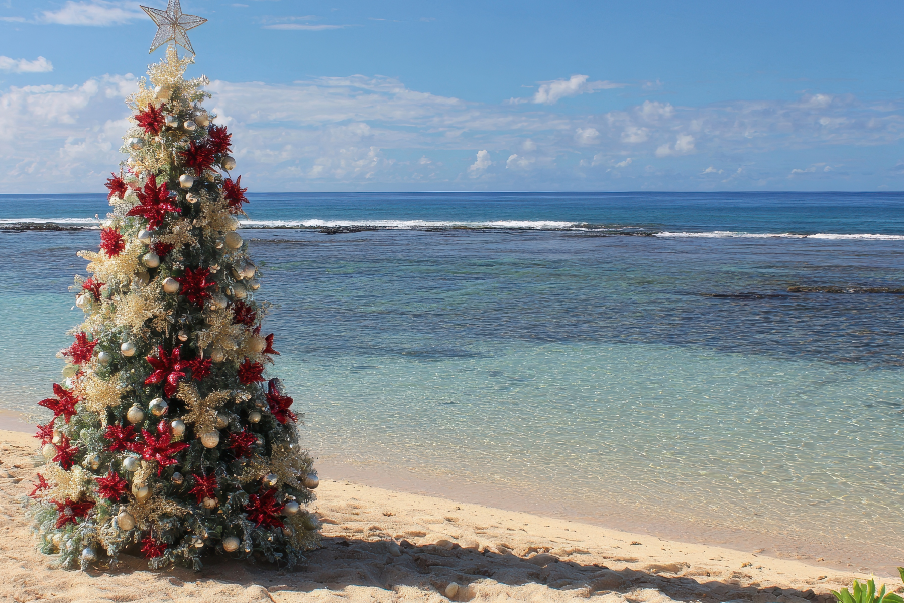christmas tree on the beach