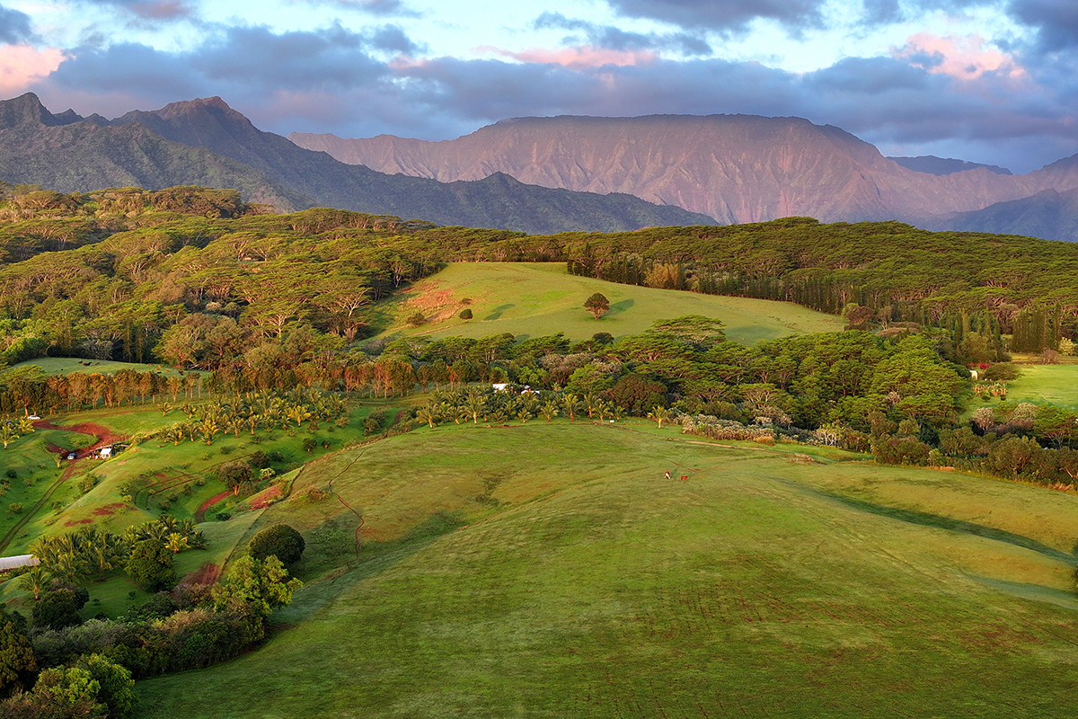 north shore kauai land for sale