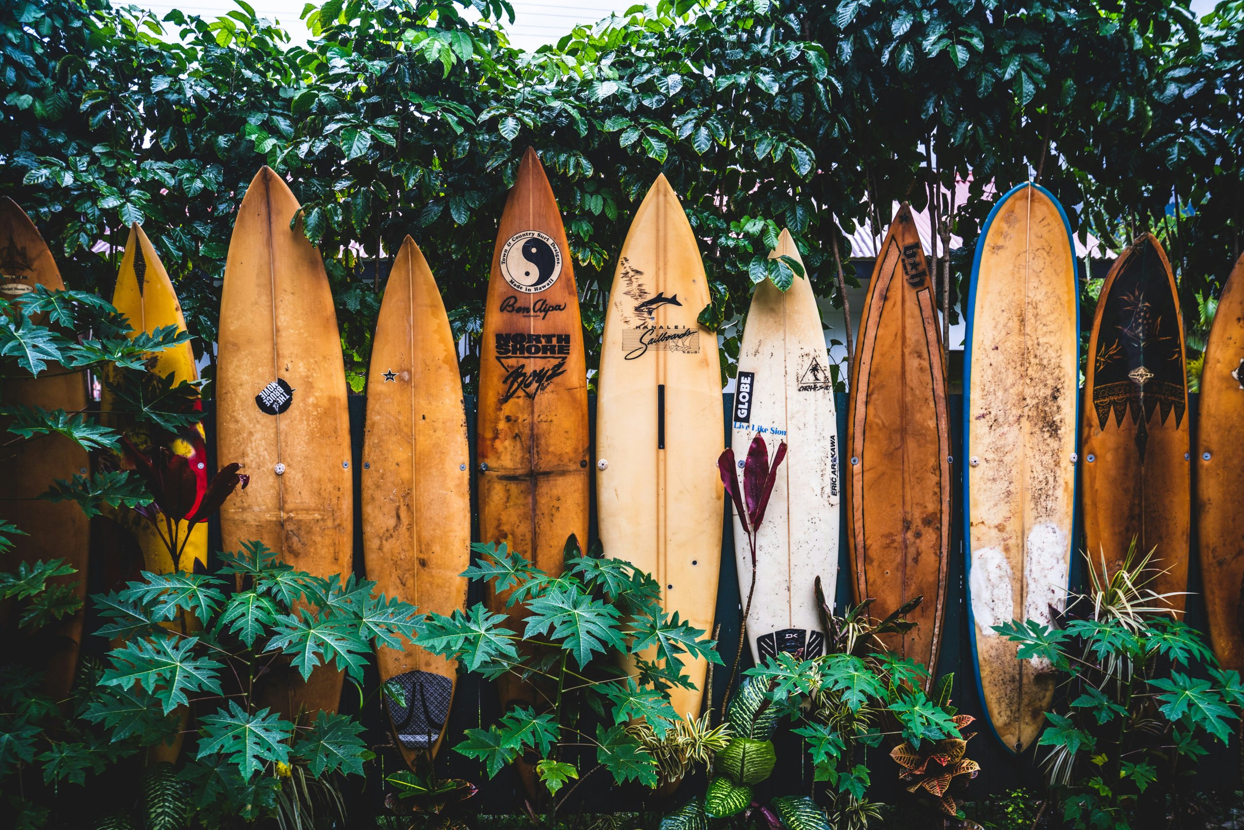 surfboards in Hanalei Kauai