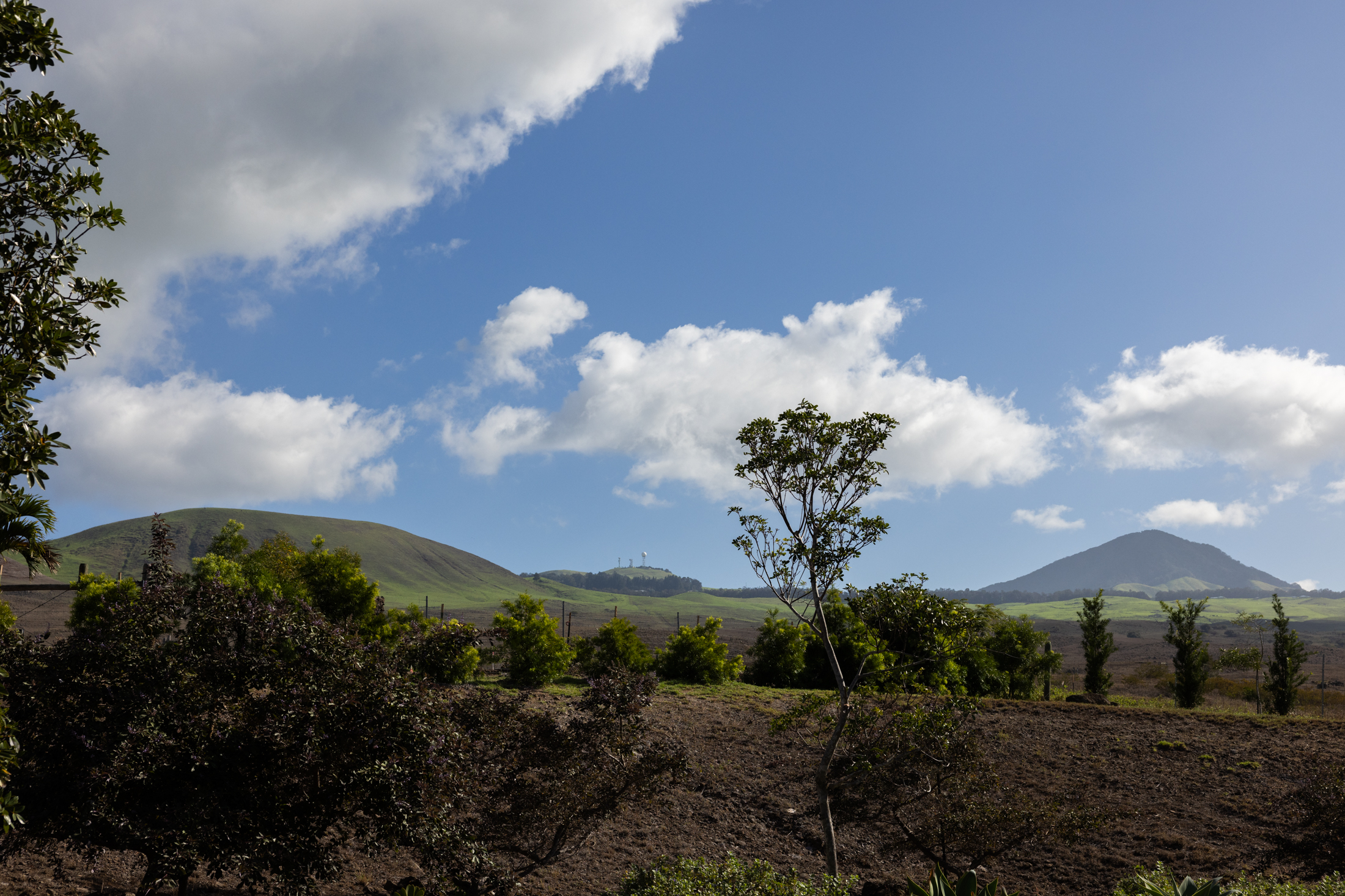 kohala ranch big island
