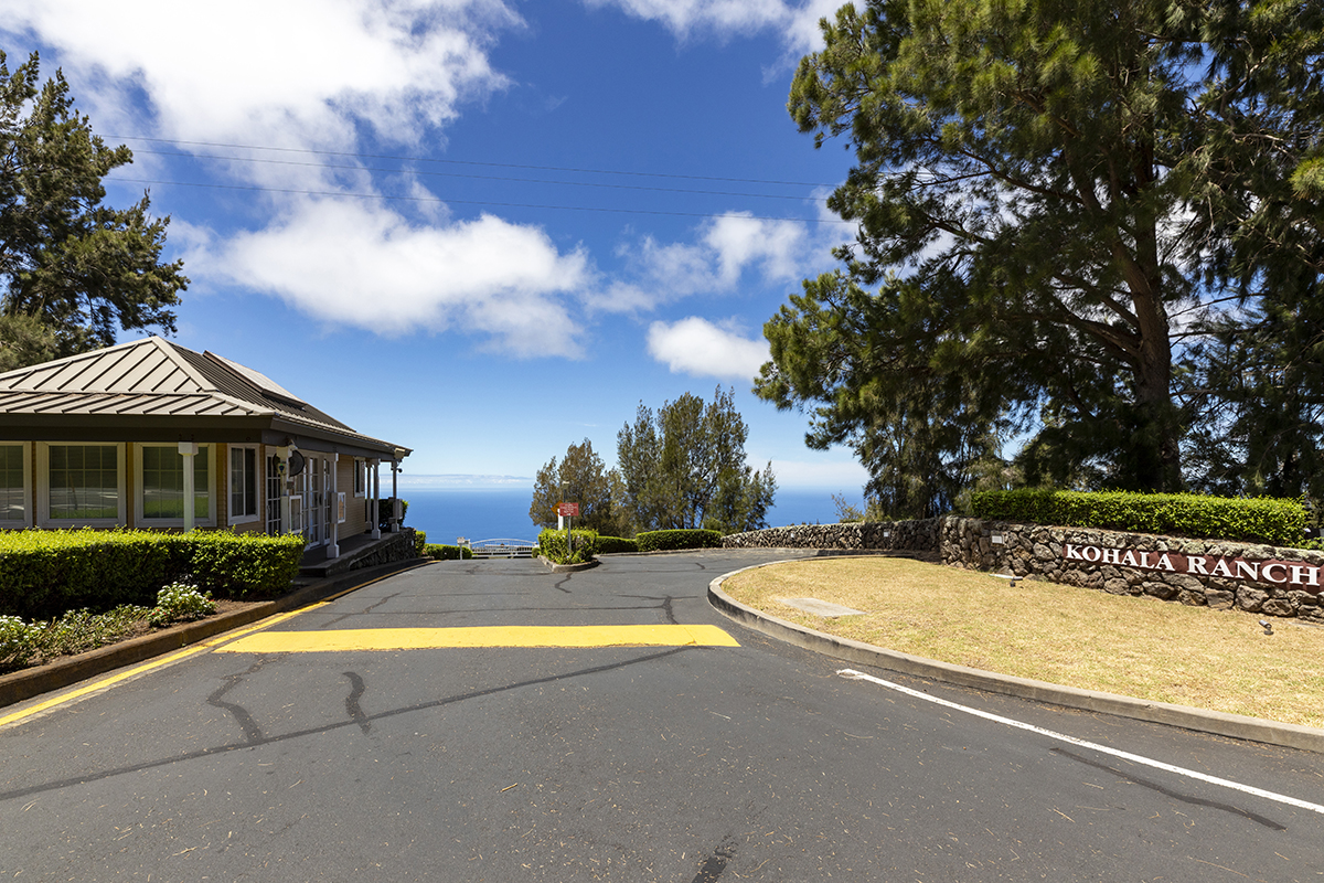 ocean view from kohala ranch meadows big island