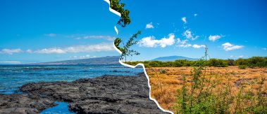 Mauka and Makai picture collage