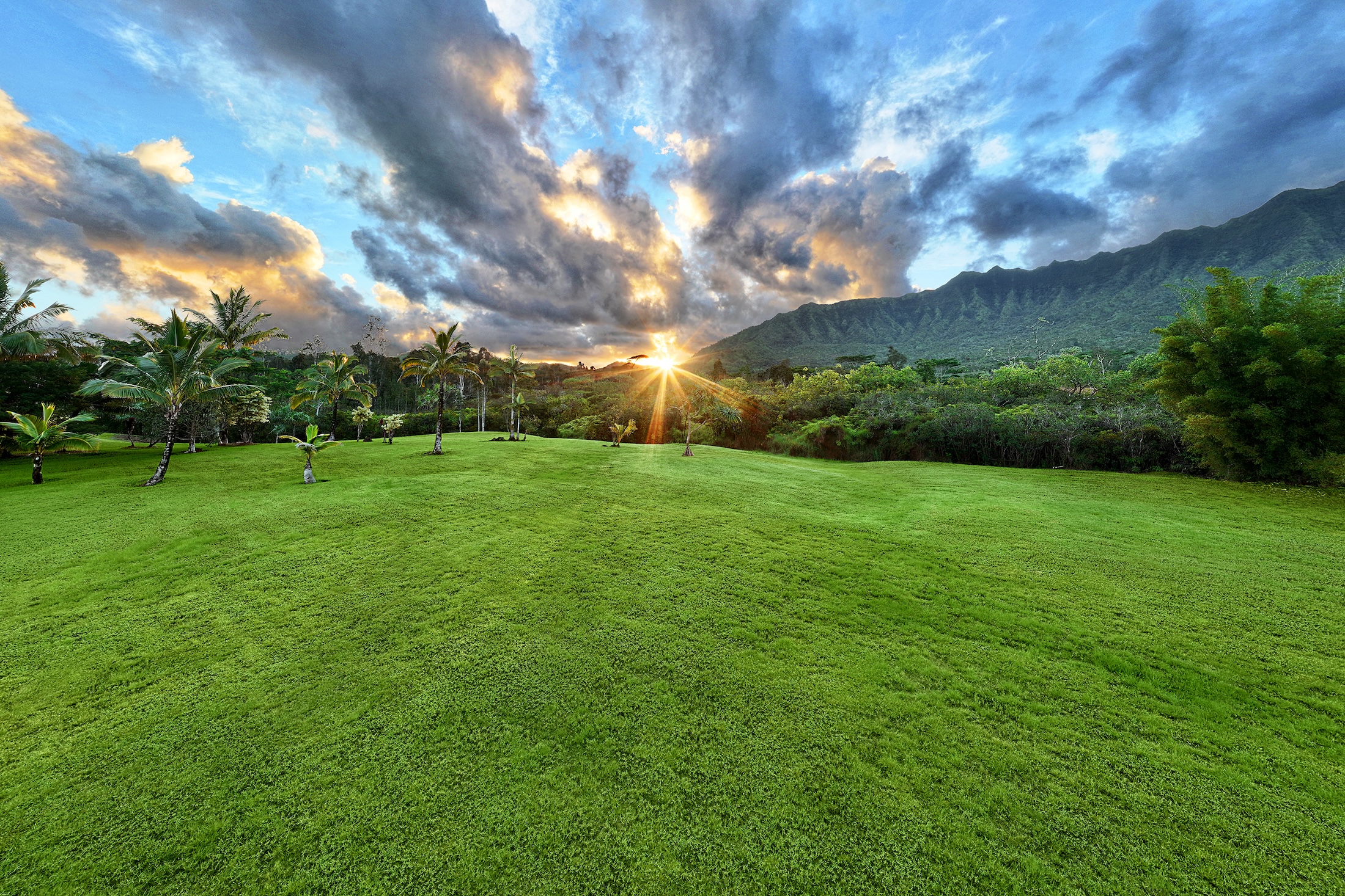 Makai Ranch 64-Acre Ranch Plus Water Infrastructure on the North Shore of Kaua’i ...