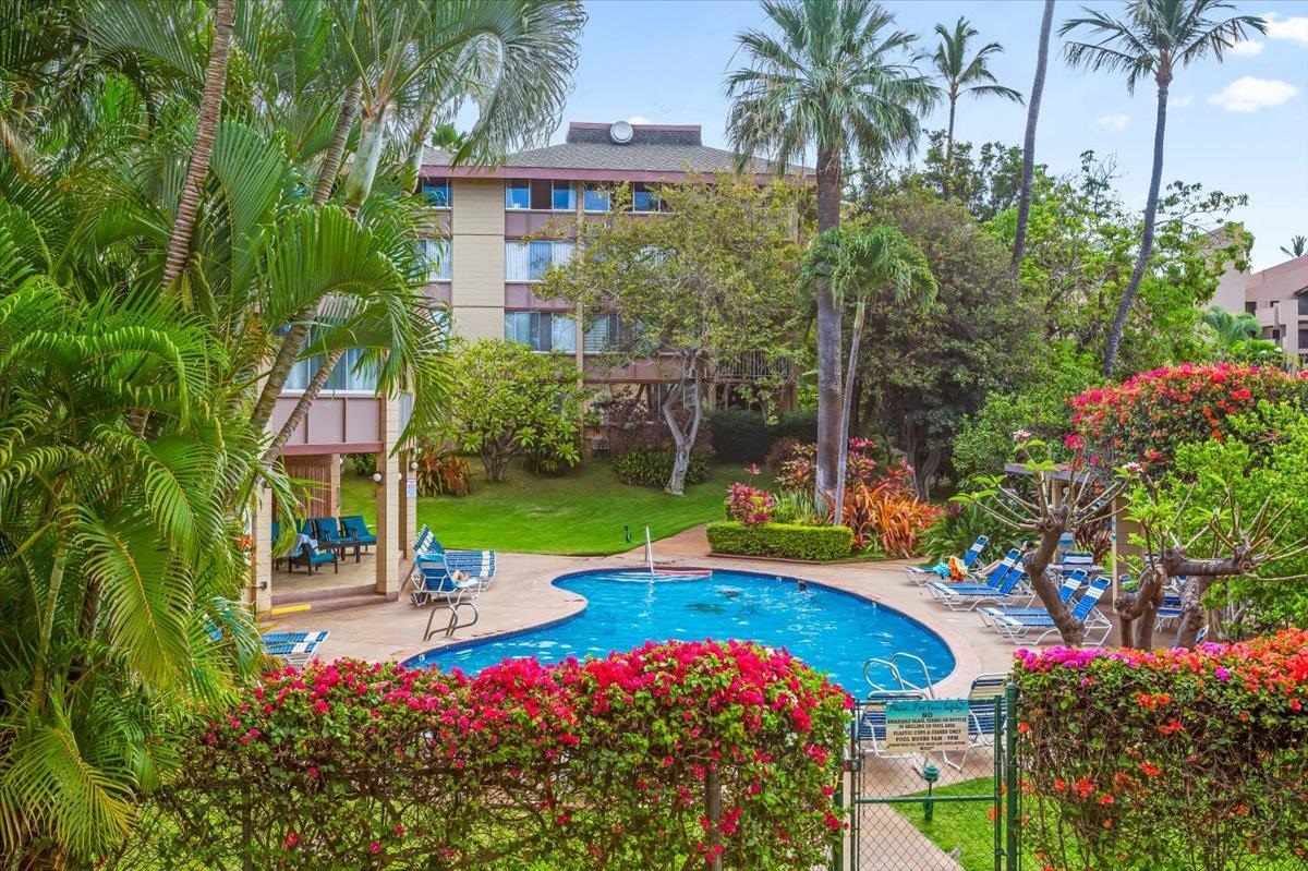 Resort style amenities like a pool and BBQ area in Haleakala Shores condo