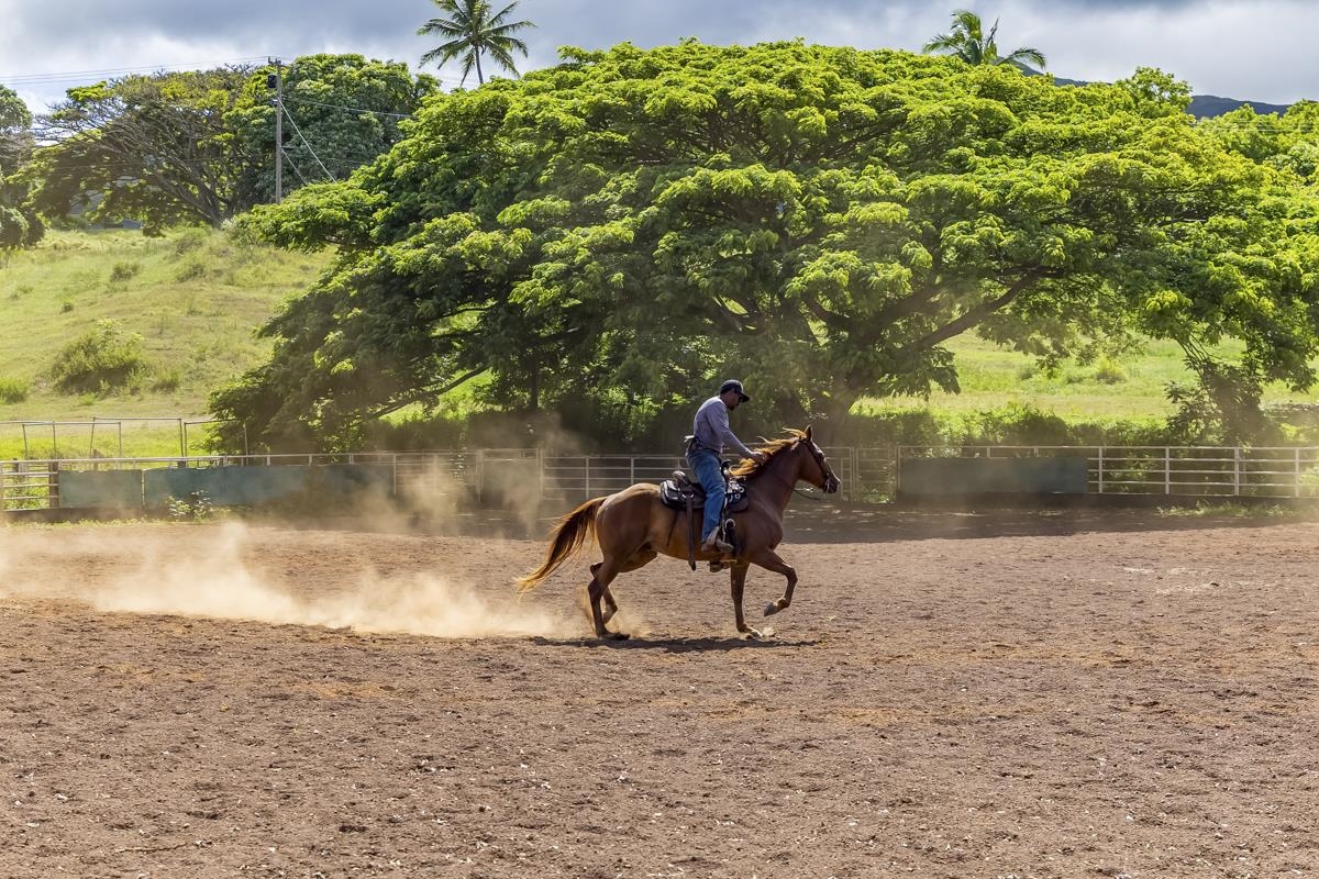 equestrian arena at hana ranch