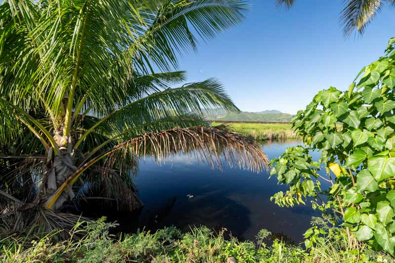 stream in kailua oahu