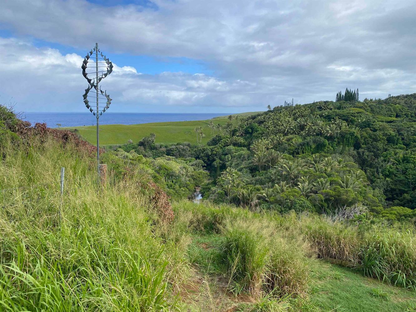Picture of True Off-Grid Lifestyle With River and Ocean Access on Maui’s North ...