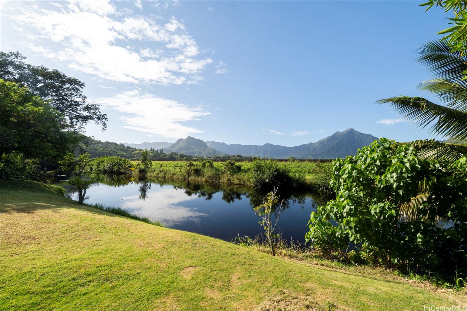 Lot in Kailua that backs up to canal