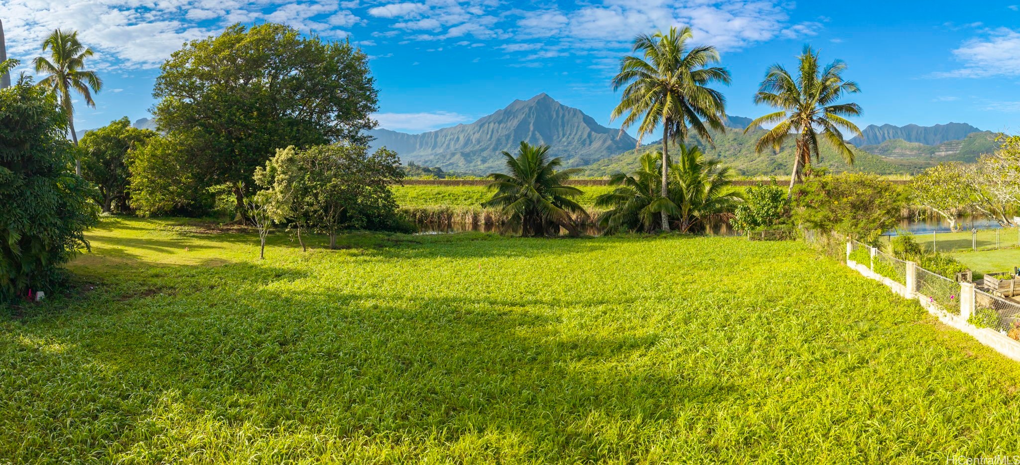 Koʻolau Mountain views from Kihapai Ohana property in Kailua, surrounded by lush natural landscape