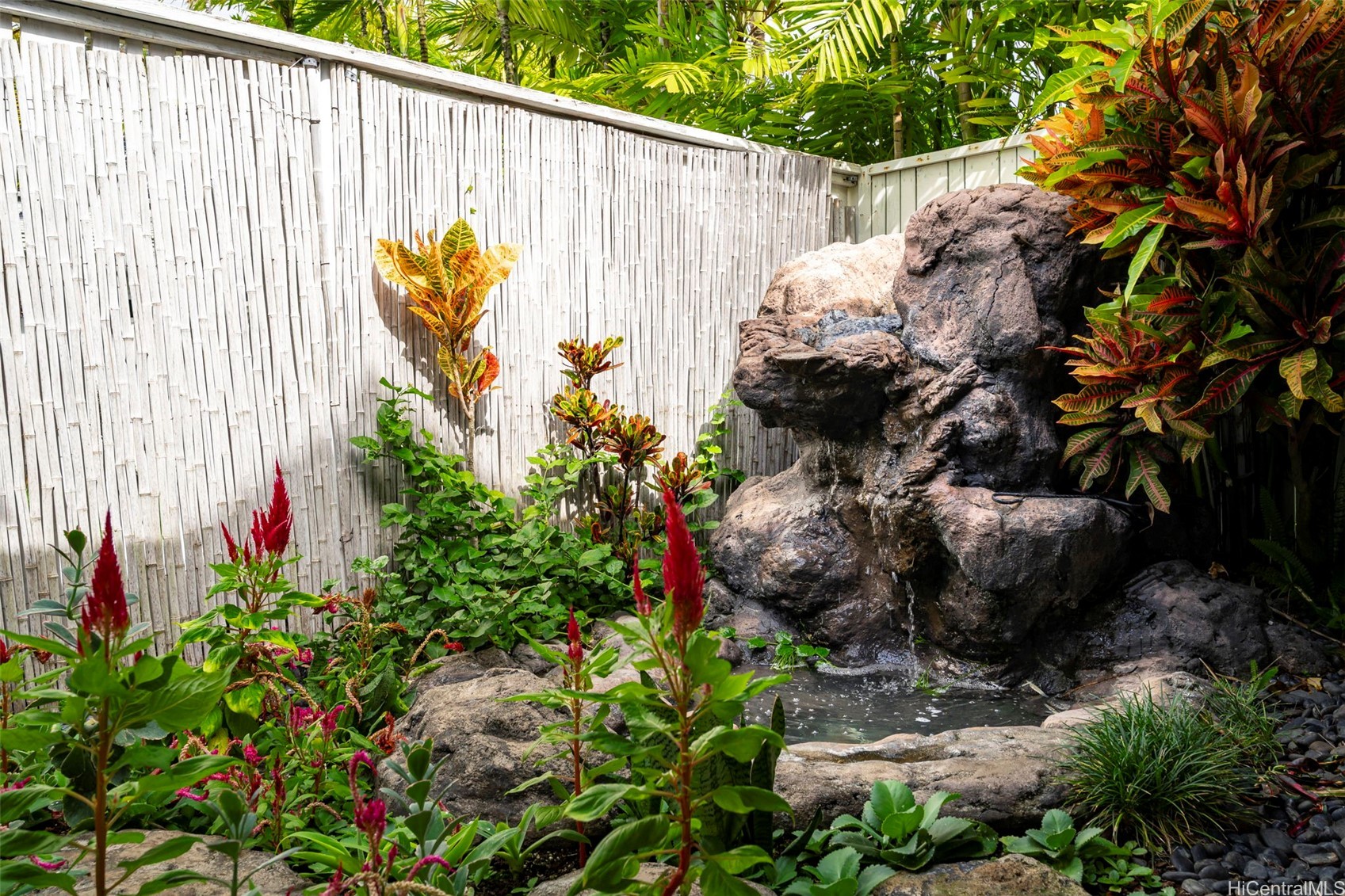 Tropical backyard oasis with waterfall