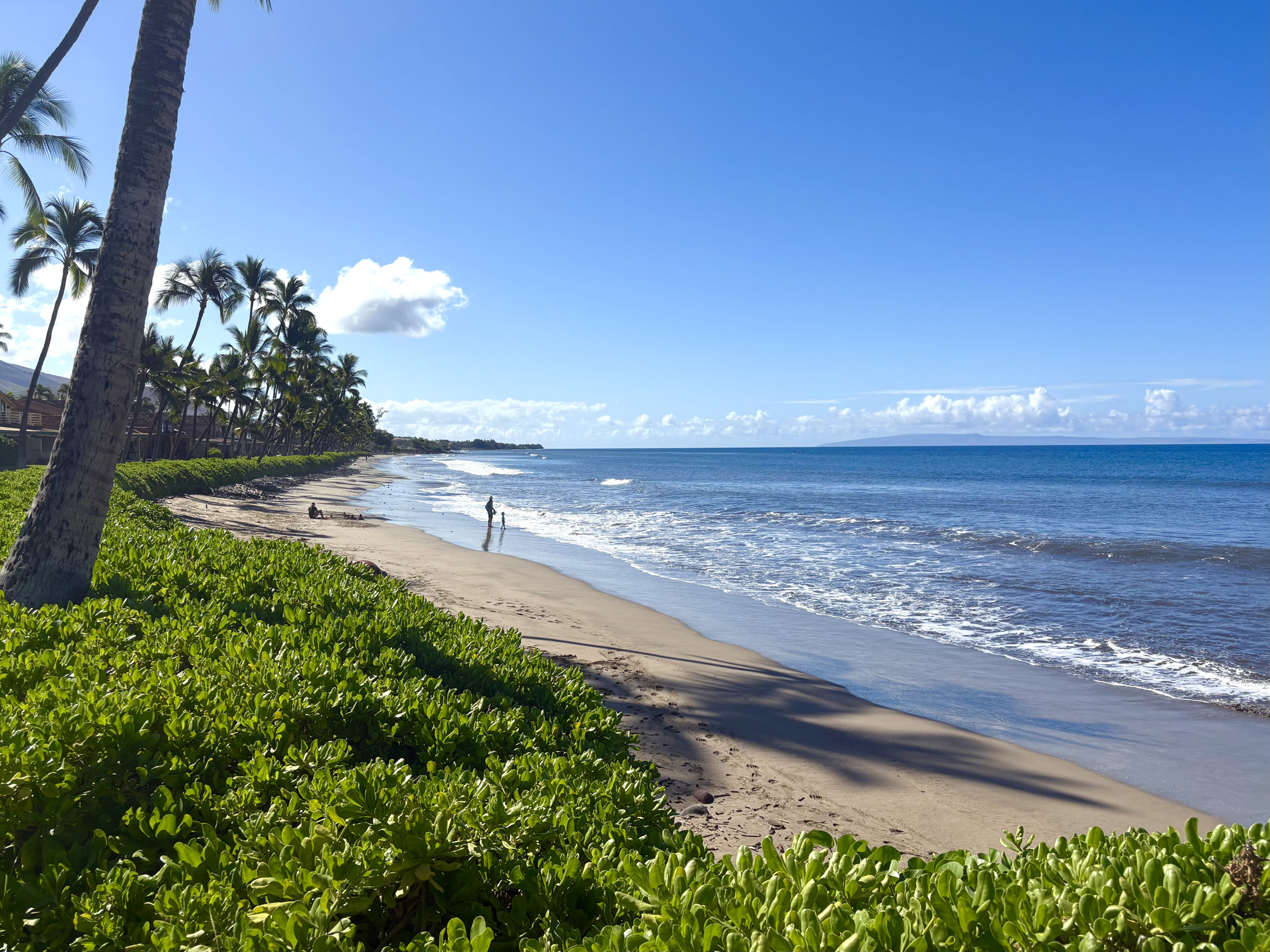 Peaceful sandy beach on Maui