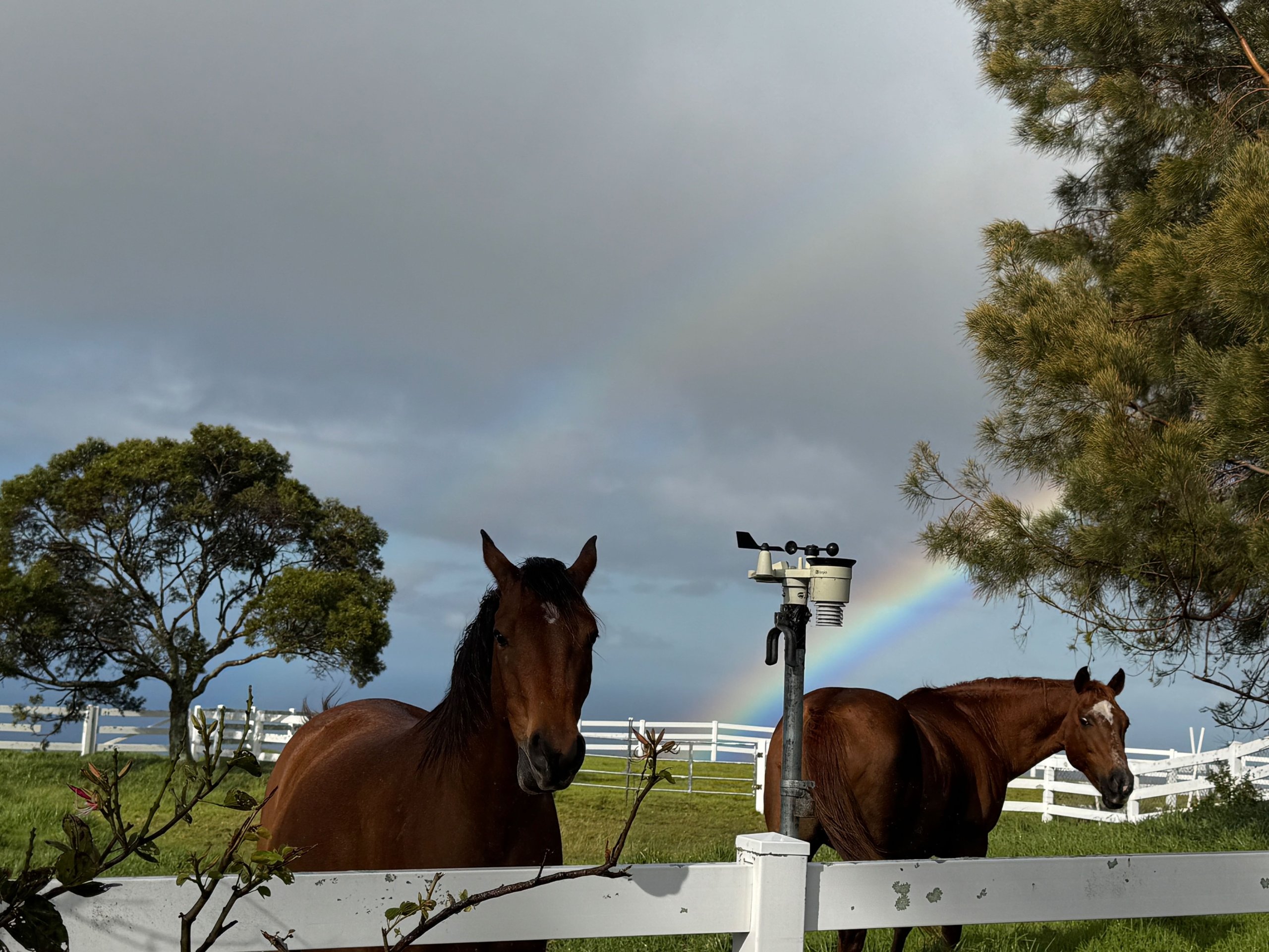 Horse property at Kohala Ranch