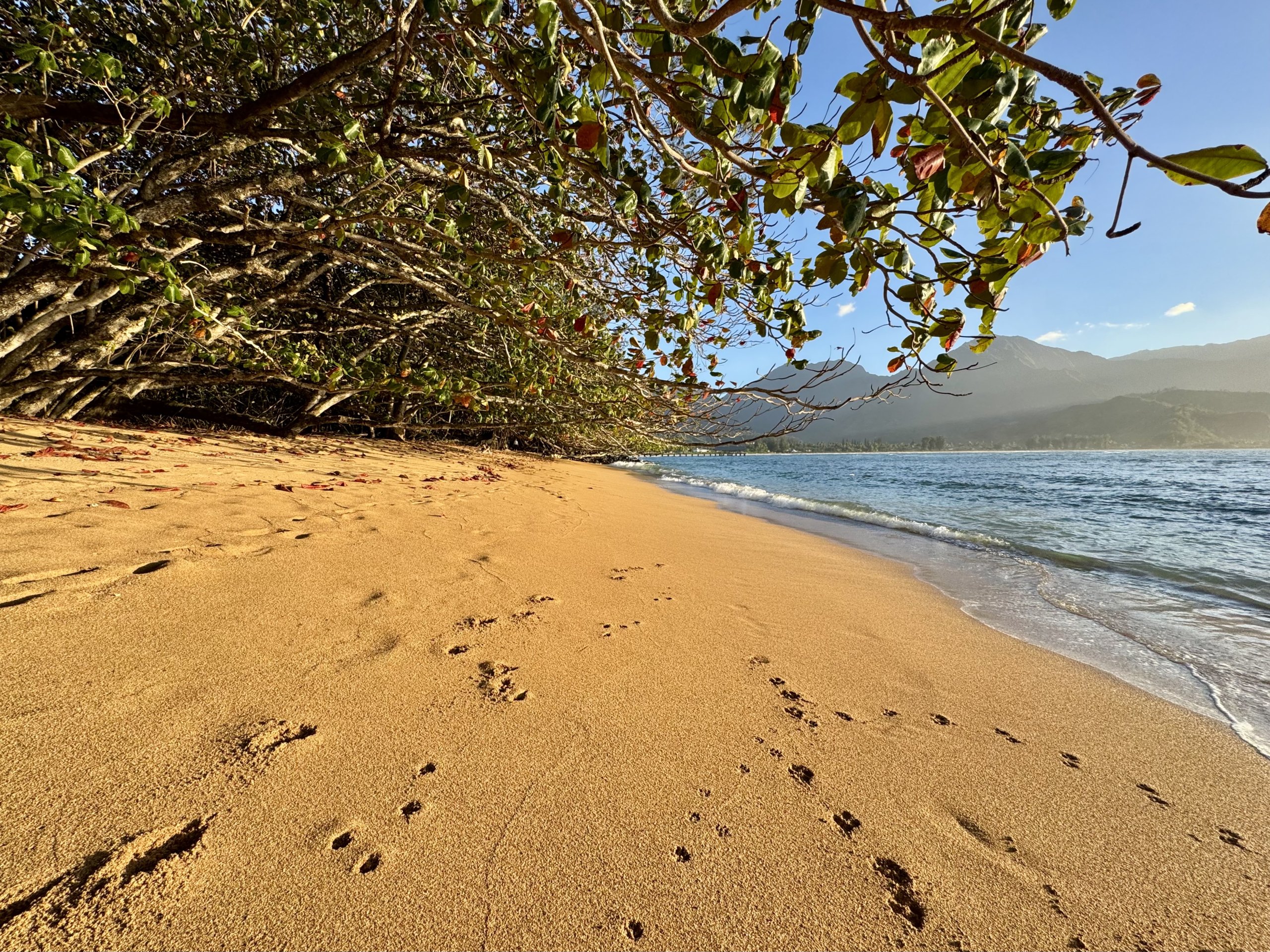 Puu Poa beach on Kauai