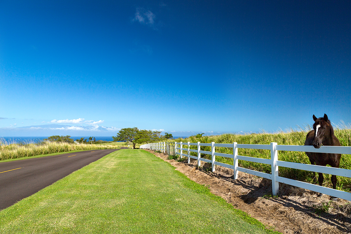 Horse property on Big Island Hawaii