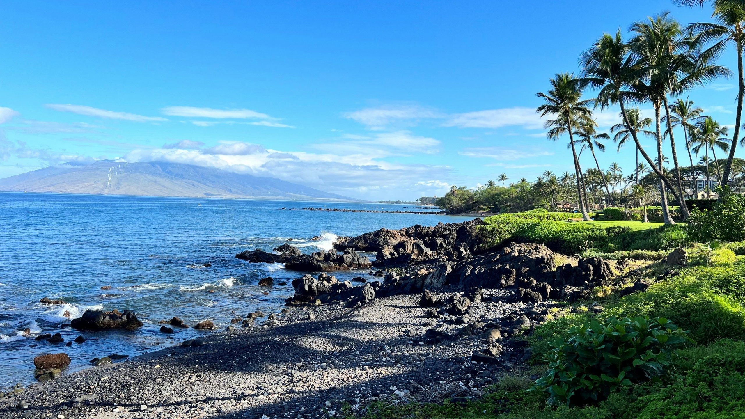 Beach in Wailea Maui