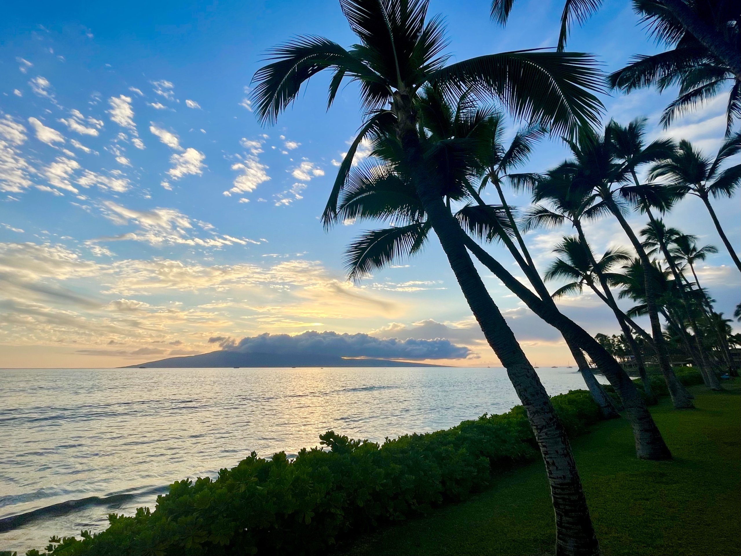 Beach sunset with palm trees in West Maui