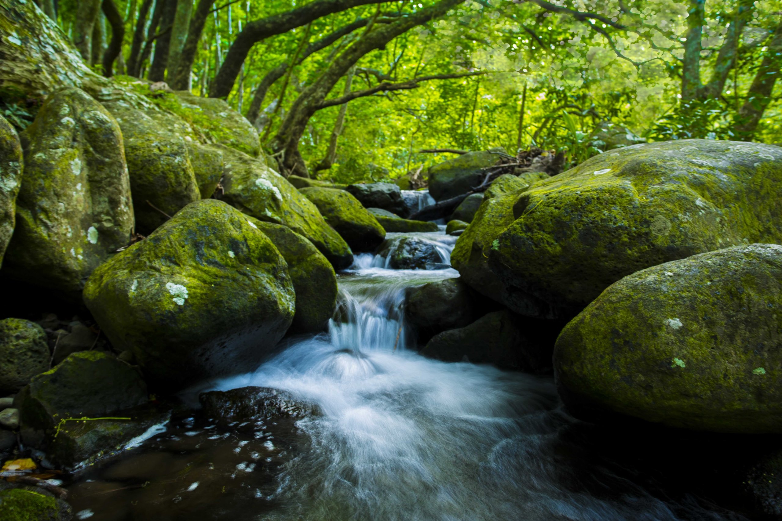 Creek waterfall through the rocks on Maui