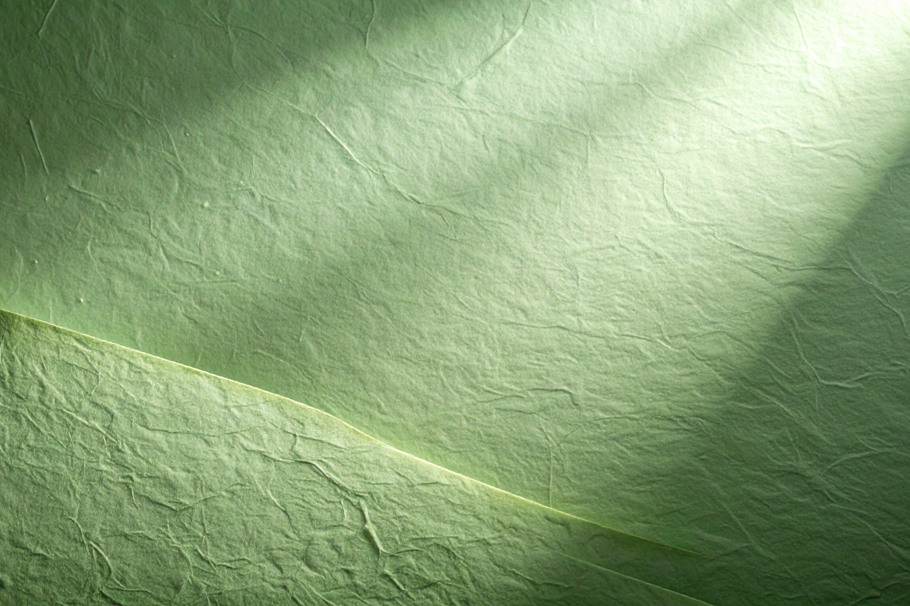 observe and play family day