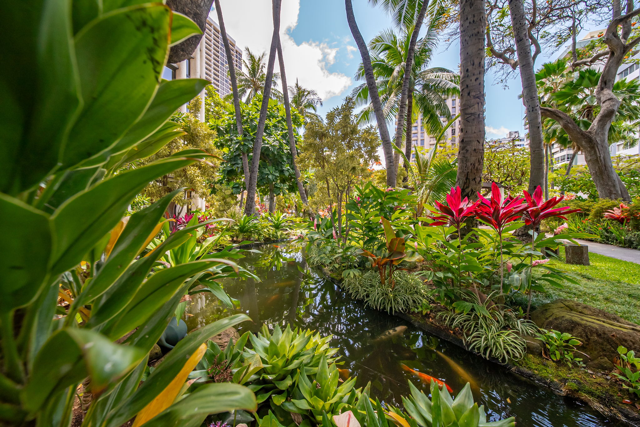 Lush tropical landscaping in Waikiki at Liliuokalani Gardens condos