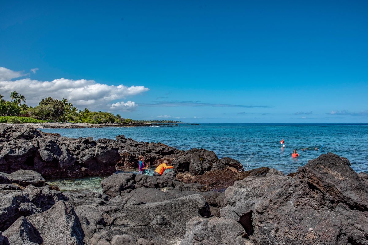People in bright gear snorkel near rocky shores under a clear blue sky, with lush green trees in the background.