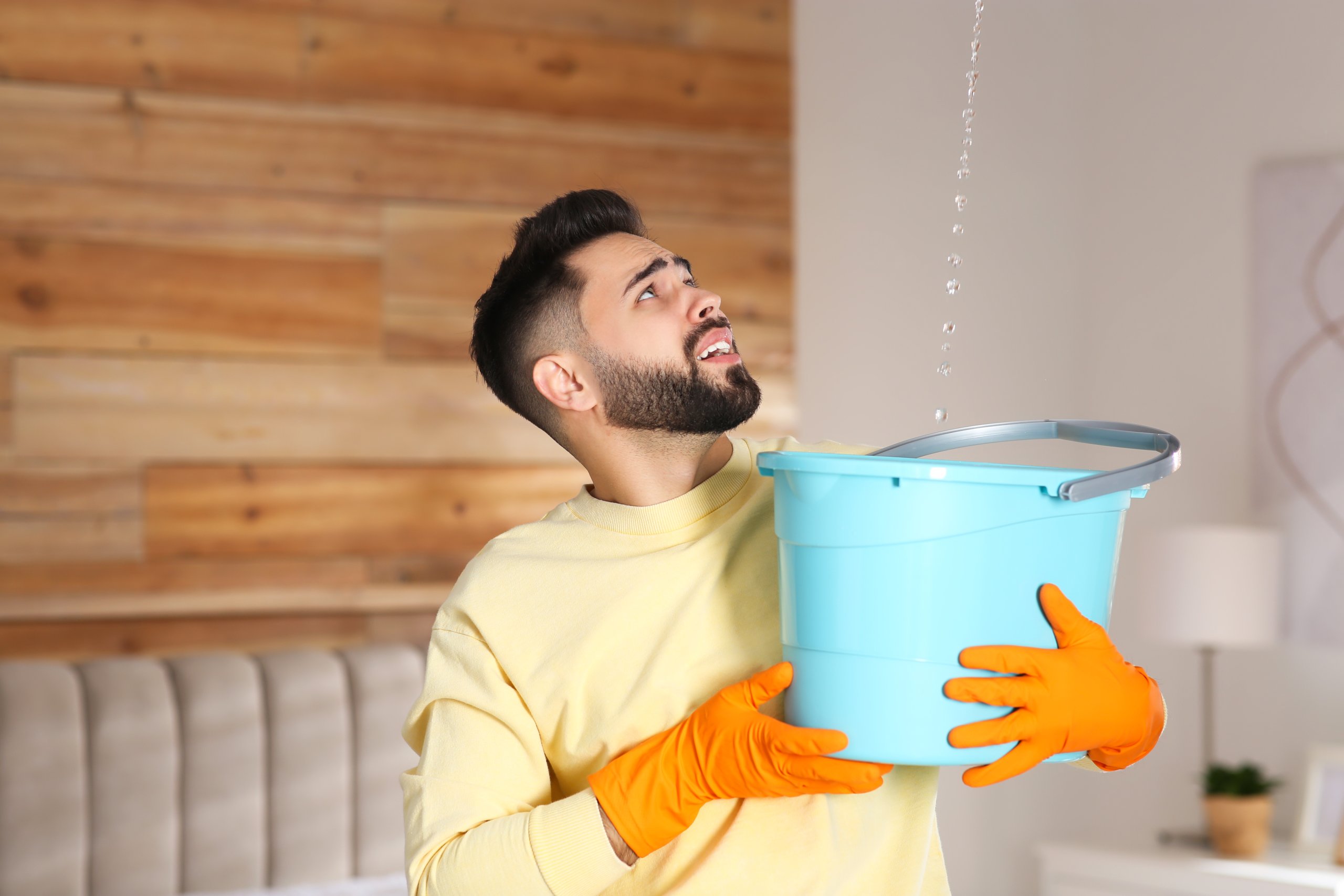 Disclosing plumbing issues and roof leaks in Hawaii