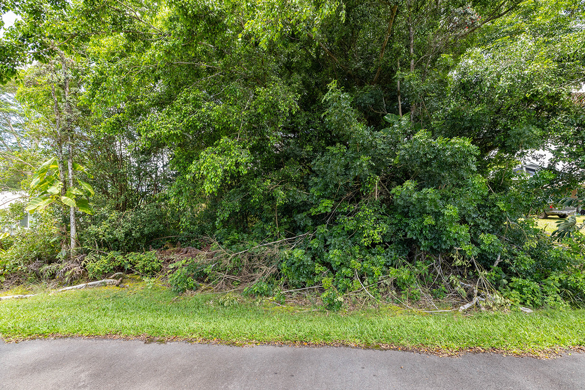 Big island land for sale