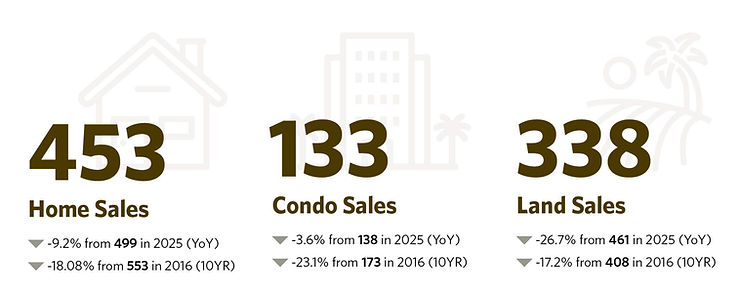 Sales data for 2023: Home Sales 453, Condo Sales 133, Land Sales 338. All show decreases compared to 2025 and 2016 figures.