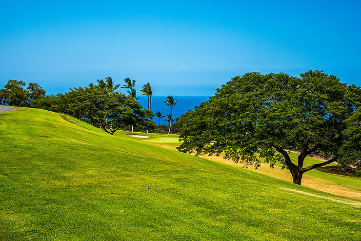 Hokulia golf course with trees and a view of the ocean in the background. Palm trees sway under a clear blue sky. Peaceful and sunny.