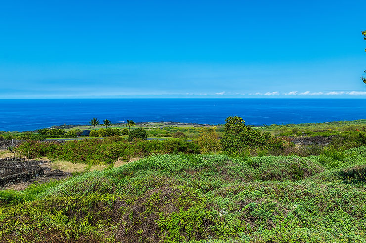 Lush green landscape with palm trees leads to a vast, calm blue ocean under a clear sky from Hokulia homesite