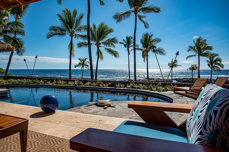 Oceanfront scene with palm trees, a pool, sun loungers, and a turtle near the water. Bright blue sky and a tranquil, tropical atmosphere.