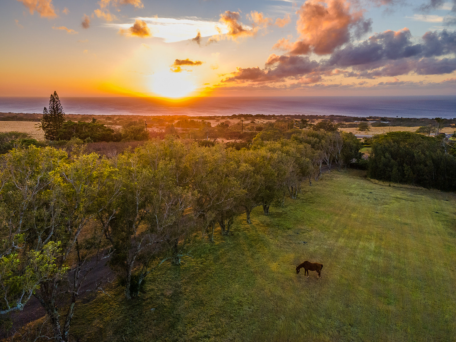 Puakea Ranch land on North Kohala Big Island Hawaii 