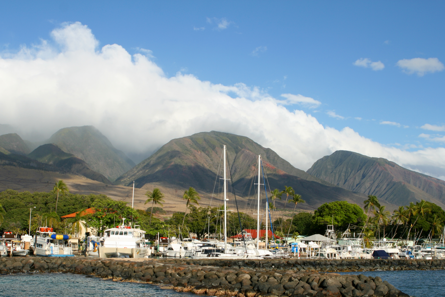 Lahaina Restoration Foundation 2026 Benefit Luau