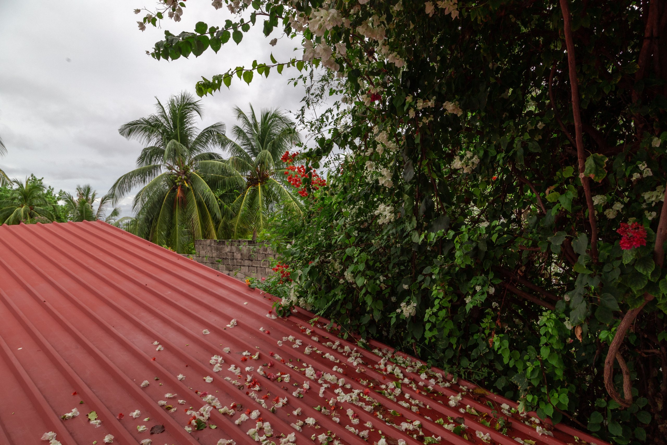 hawaii metal roof