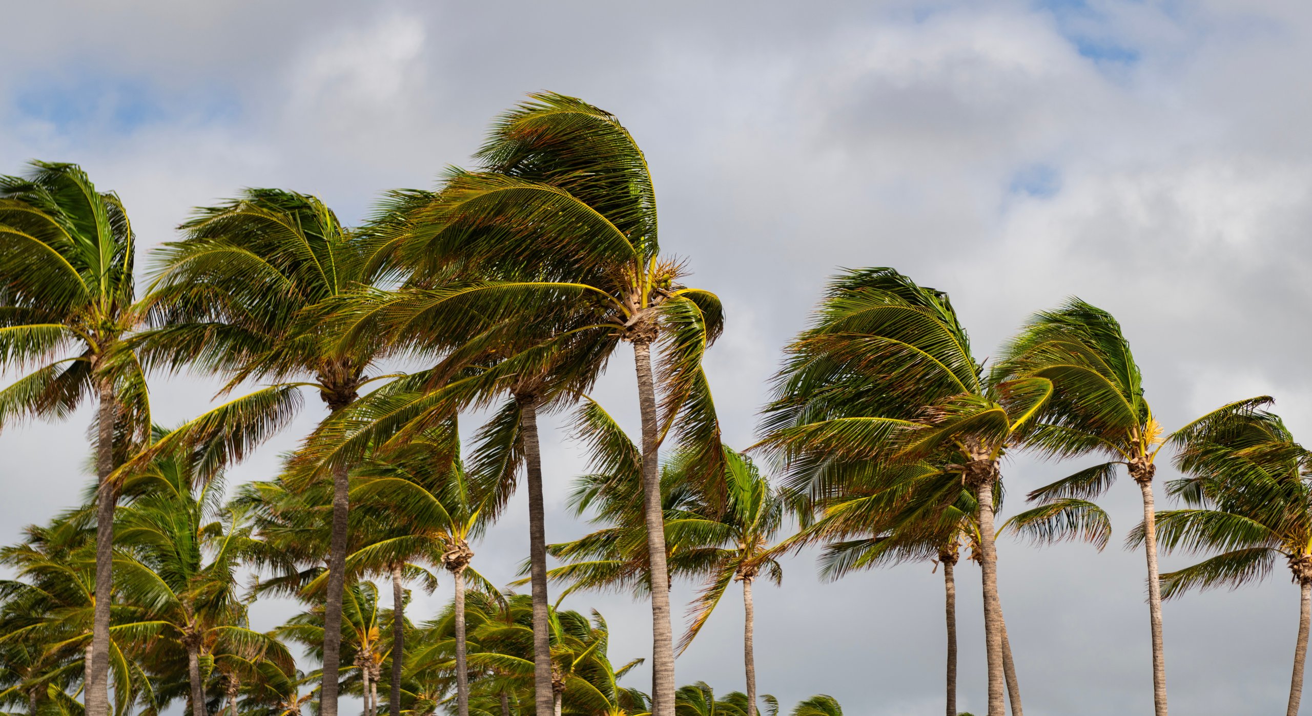 storms in hawaii call for a metal roof