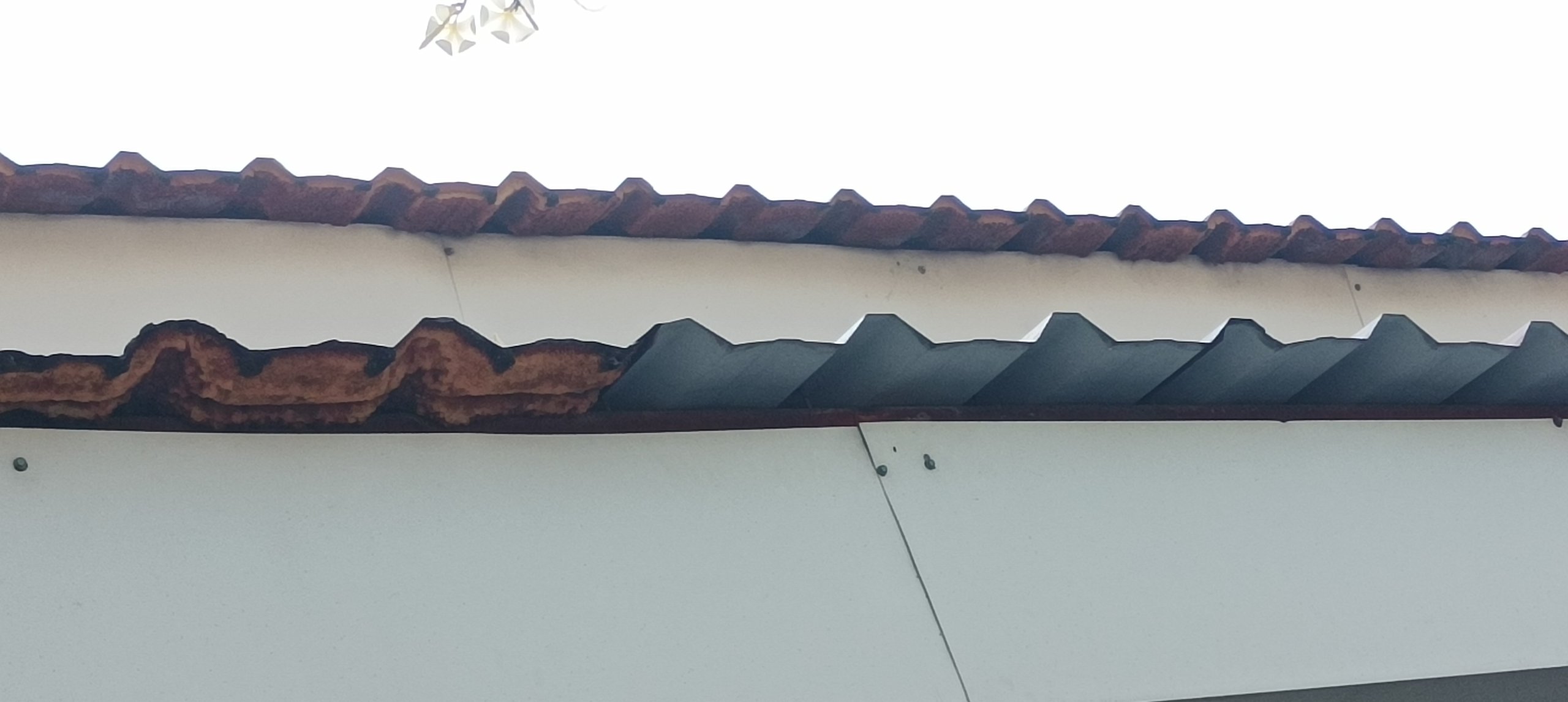rusty metal roof in hawaii