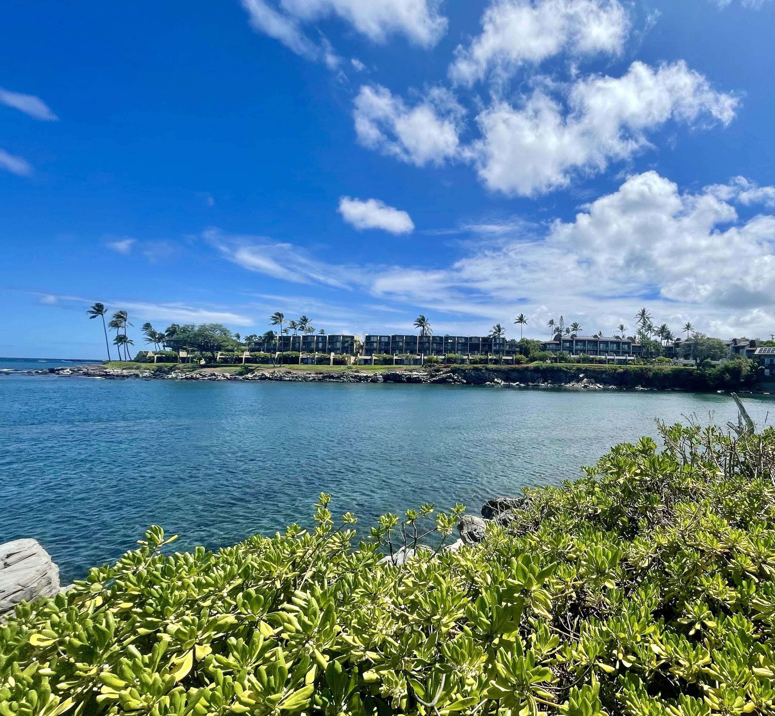 Napili Point
