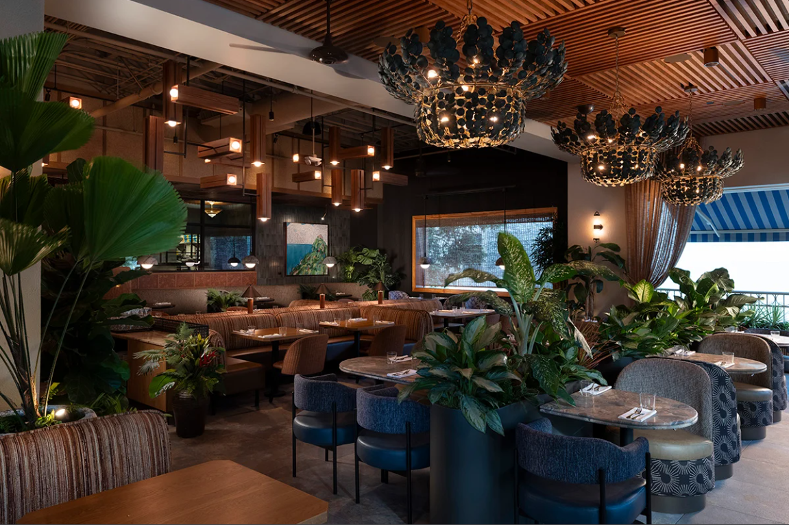 best local spots across Oahu