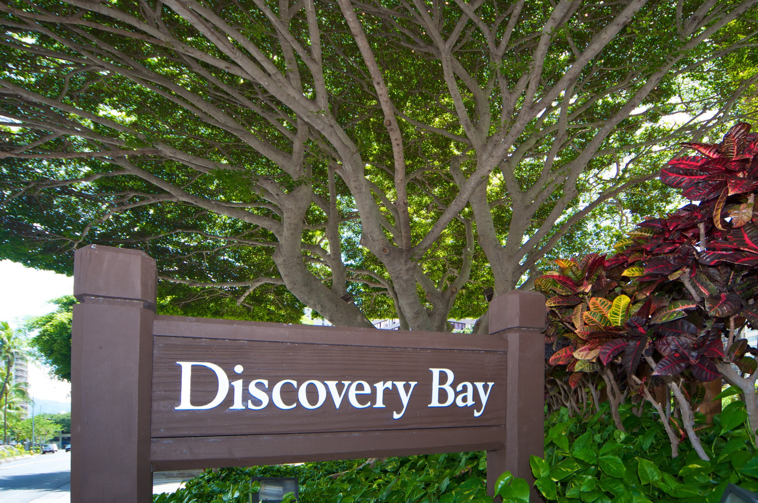 discovery bay condo in Waikiki