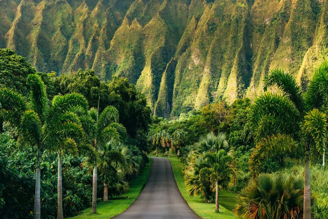 best local spots across Oahu