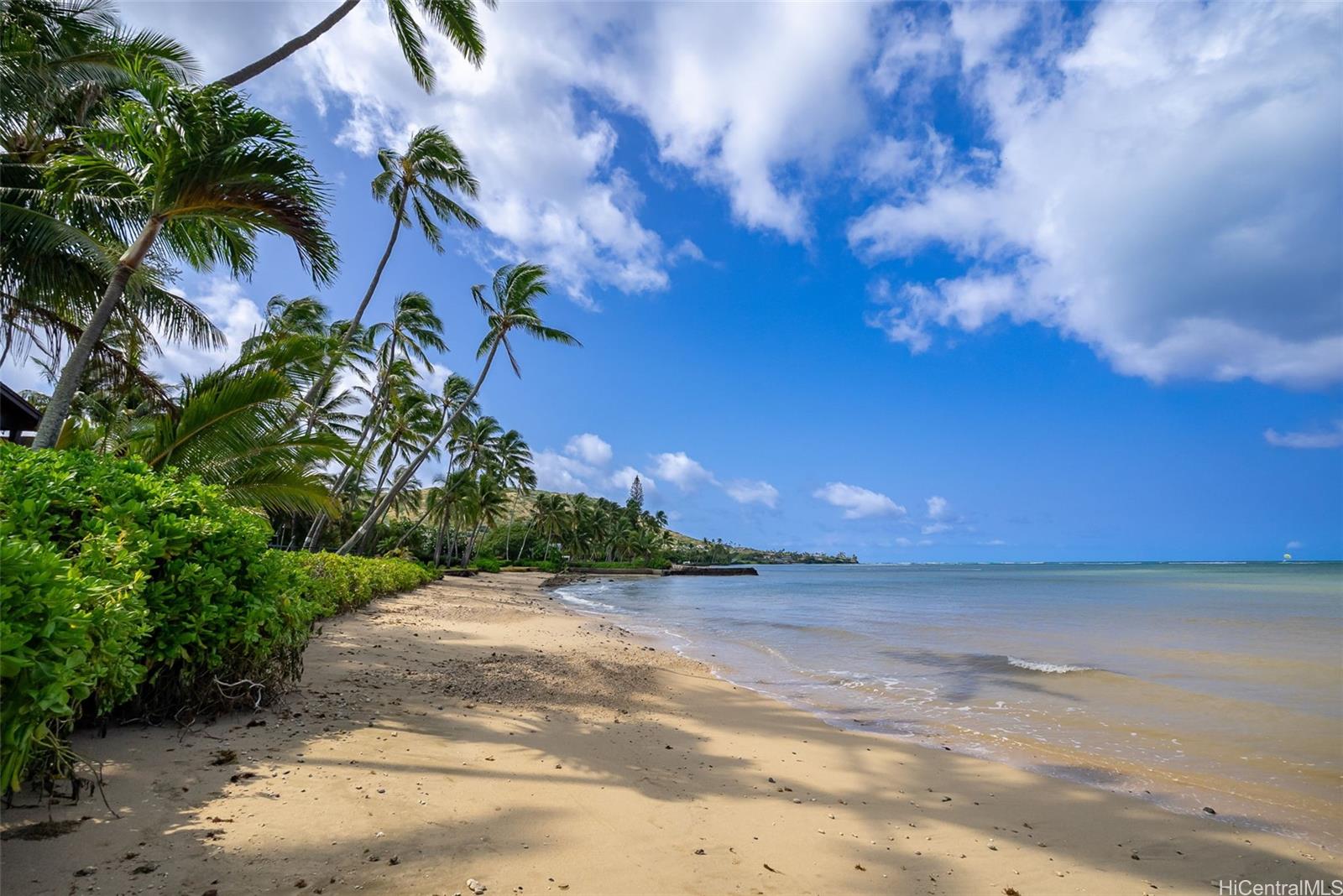 beach on Oahu