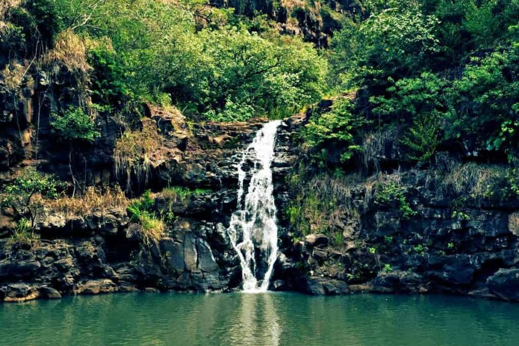 best local spots across Oahu