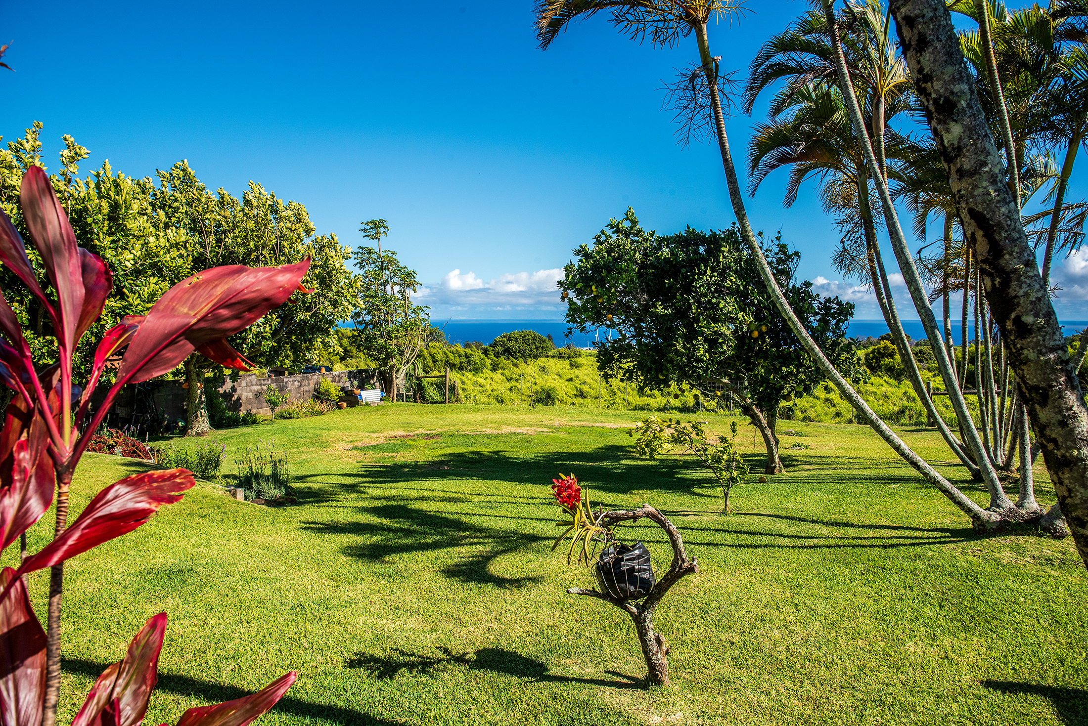 Hawi house backyard with oean views