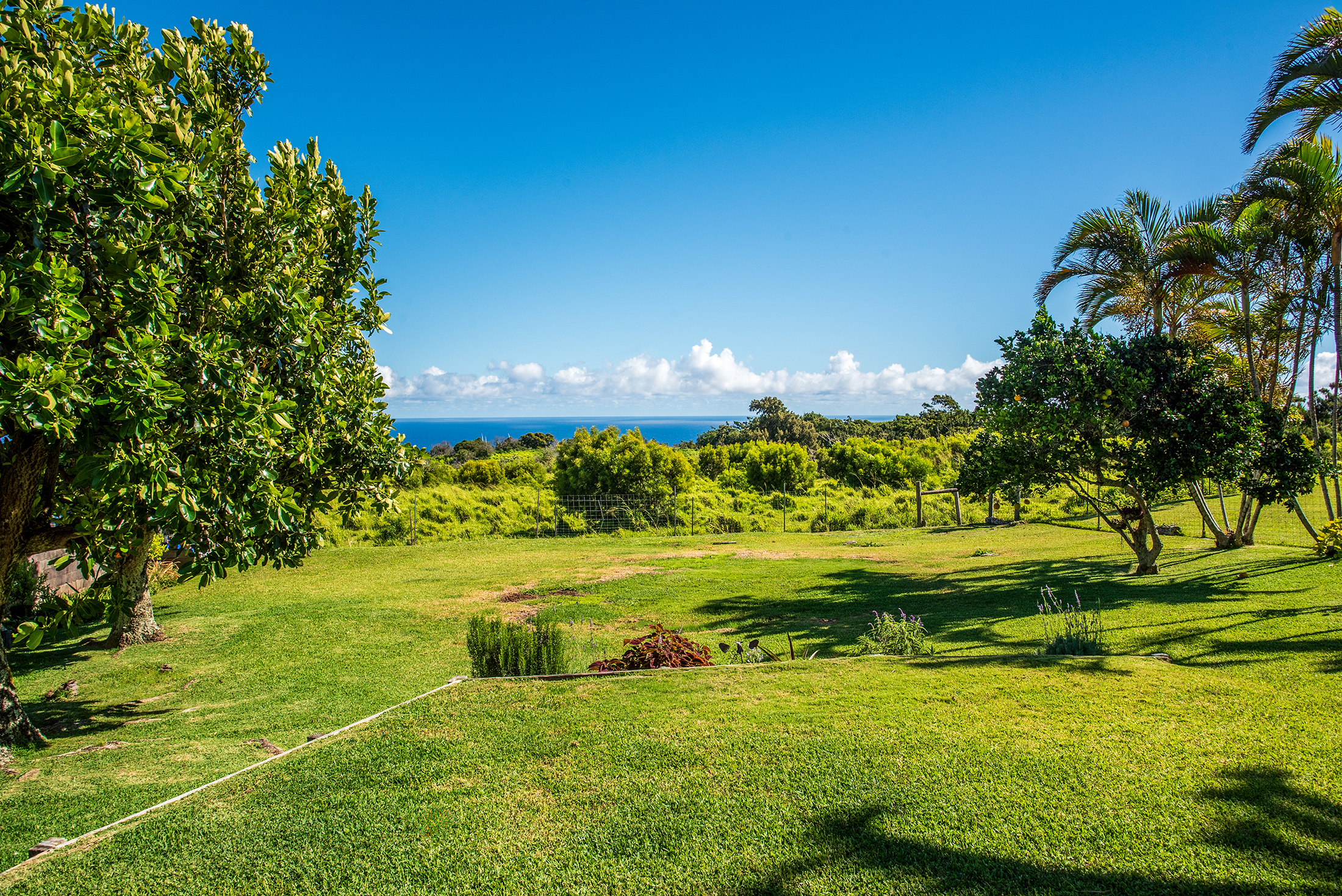Hawi house for sale backyard with ocean views
