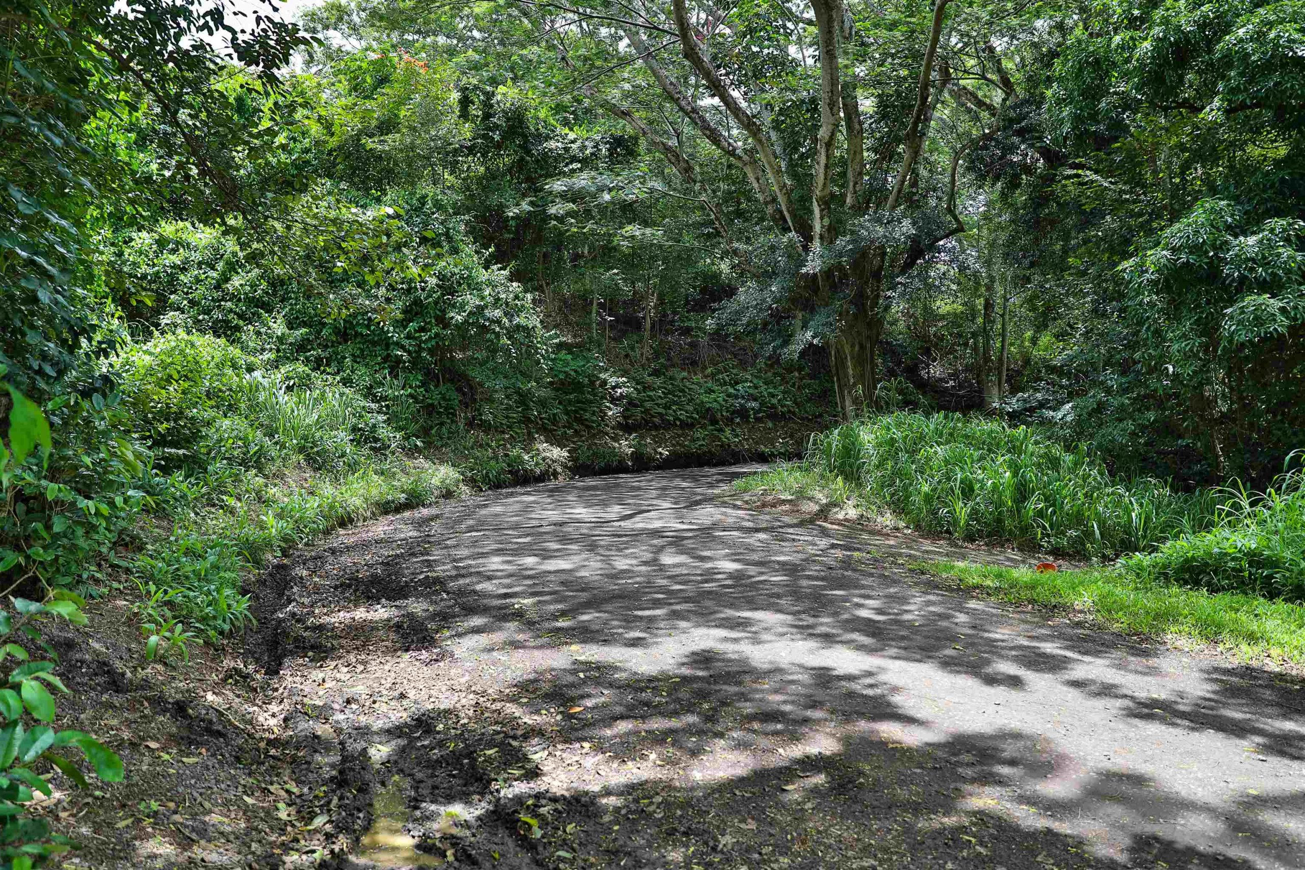 Property in Haiku Maui for sale