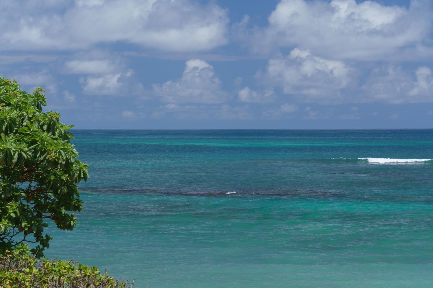 Ocean view in Spreckelsville Maui