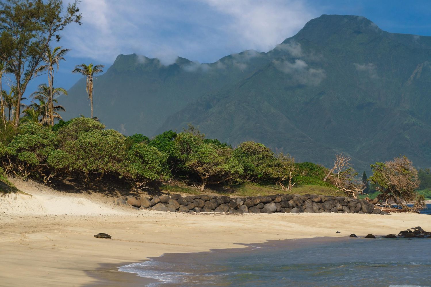 Beach on maui's north shore