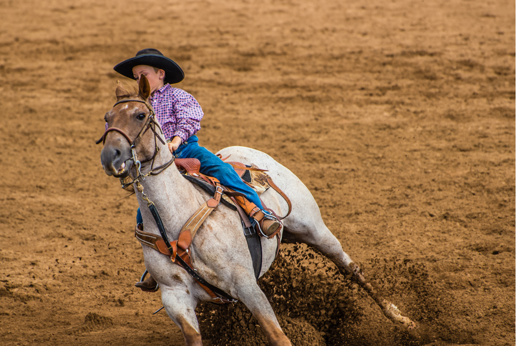 makawao stampede rodeo july fourth