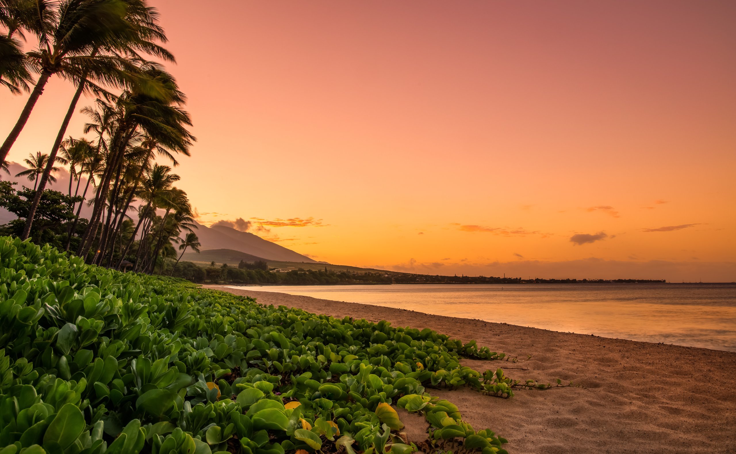 living on Hawaii time is worth it