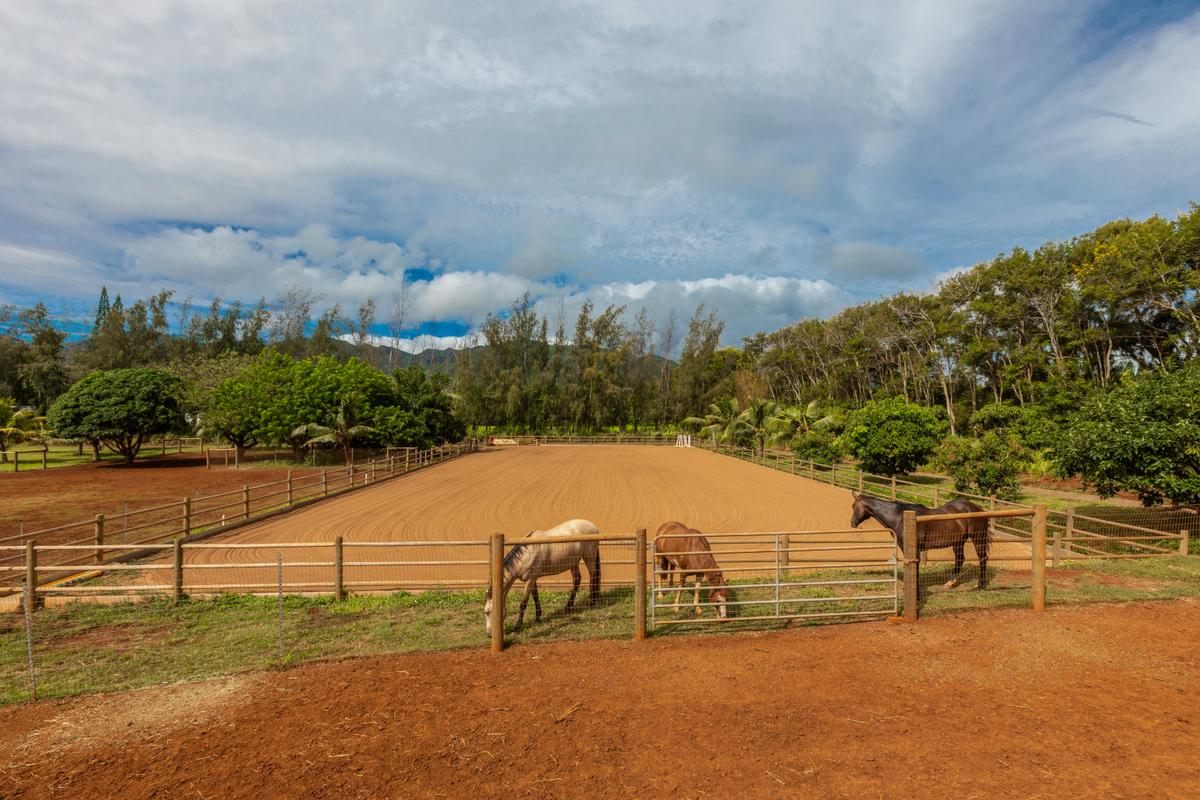 Horses Property Kauai