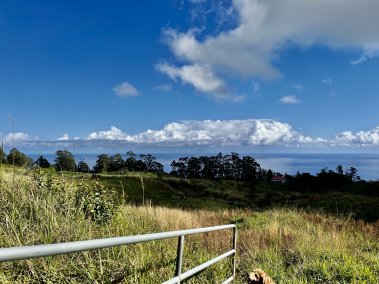 Oceam view from Kalopa Land lot